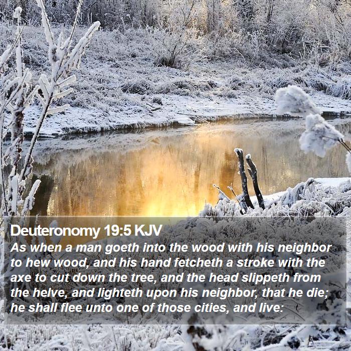 Deuteronomy 19:5 KJV Bible Study