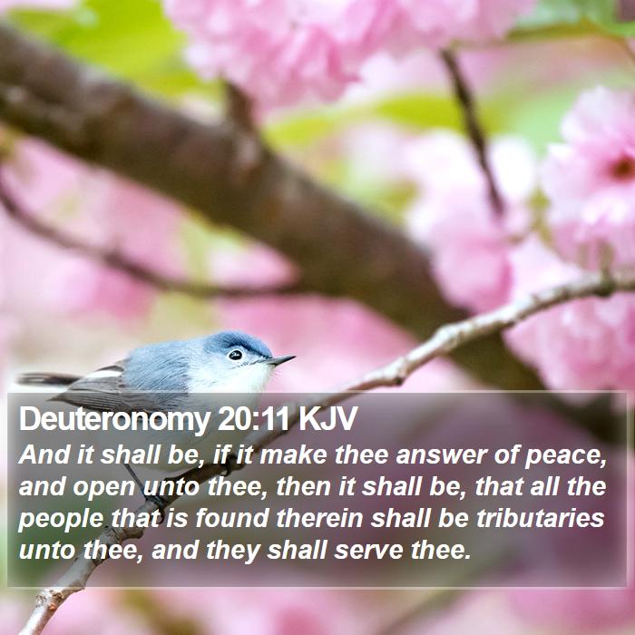 Deuteronomy 20:11 KJV Bible Study