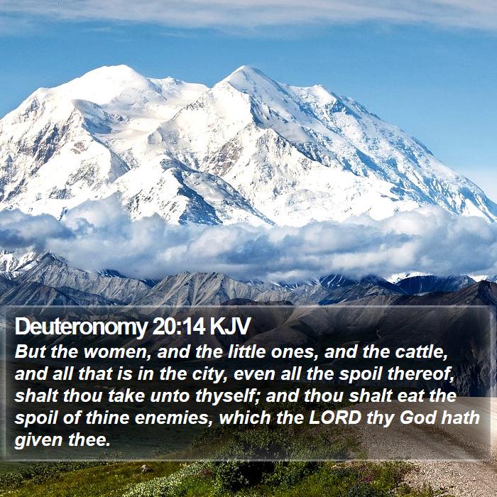 Deuteronomy 20:14 KJV Bible Study