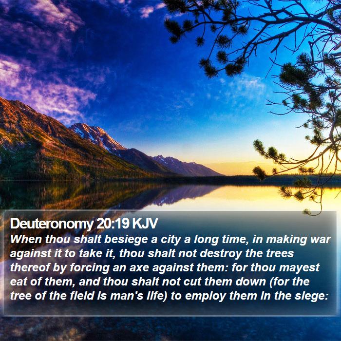 Deuteronomy 20:19 KJV Bible Study