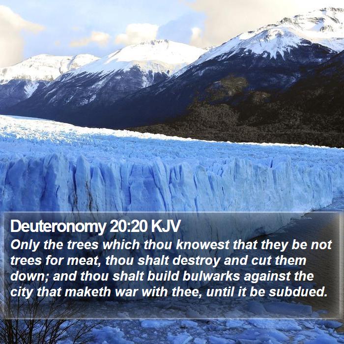 Deuteronomy 20:20 KJV Bible Study