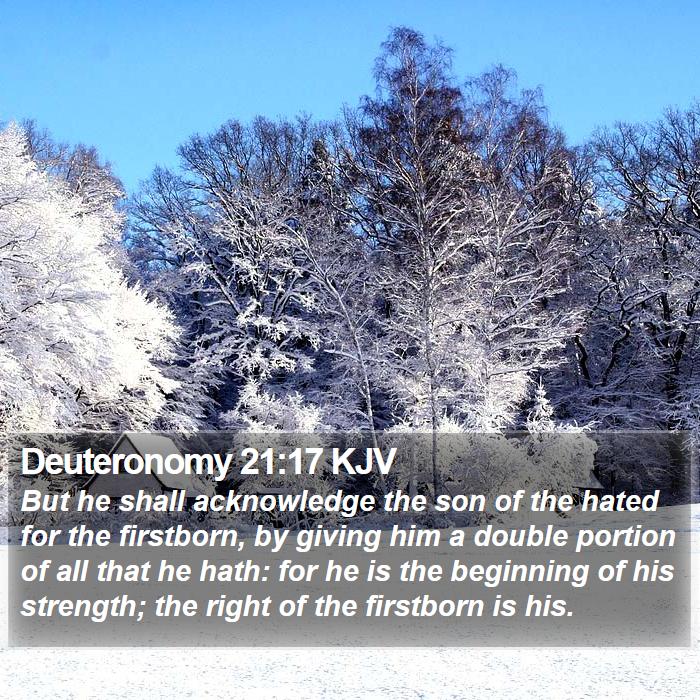 Deuteronomy 21:17 KJV Bible Study