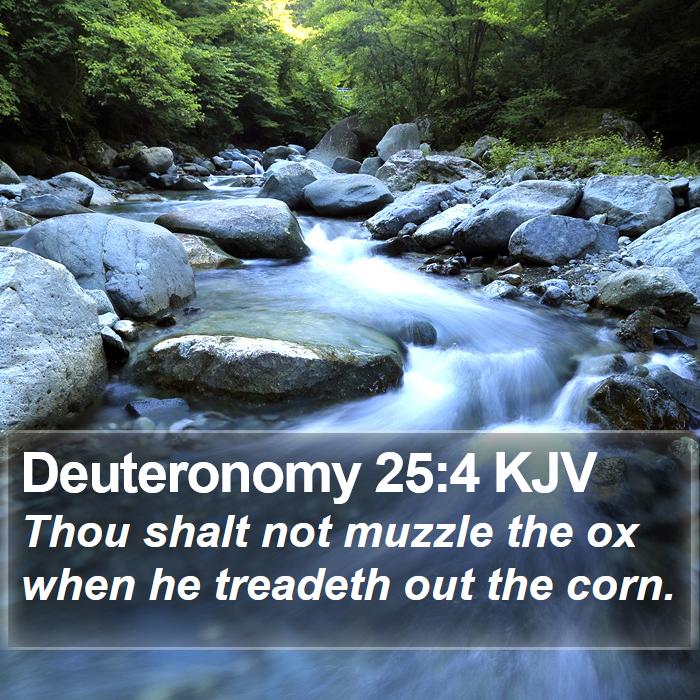 Deuteronomy 25:4 KJV Bible Study