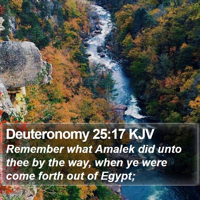 Deuteronomy 25:17 KJV Bible Study