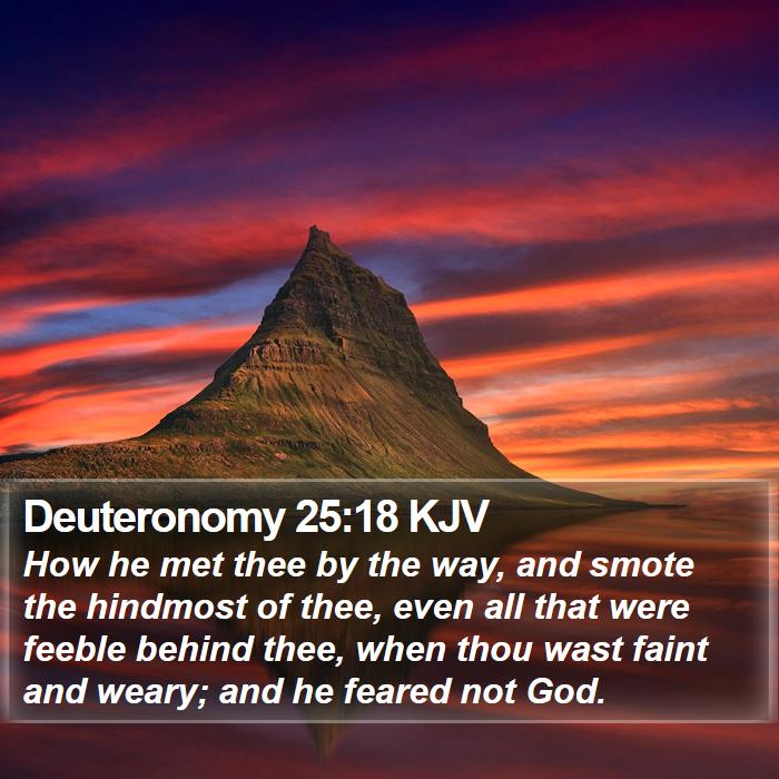 Deuteronomy 25:18 KJV Bible Study