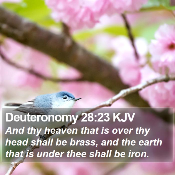 Deuteronomy 28:23 KJV Bible Study