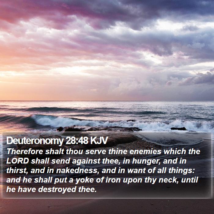 Deuteronomy 28:48 KJV Bible Study
