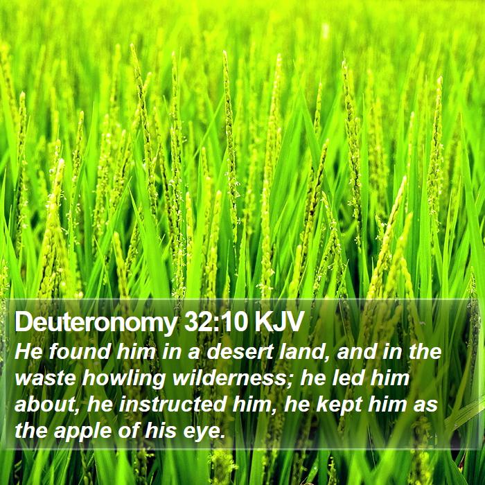 Deuteronomy 32:10 KJV Bible Study