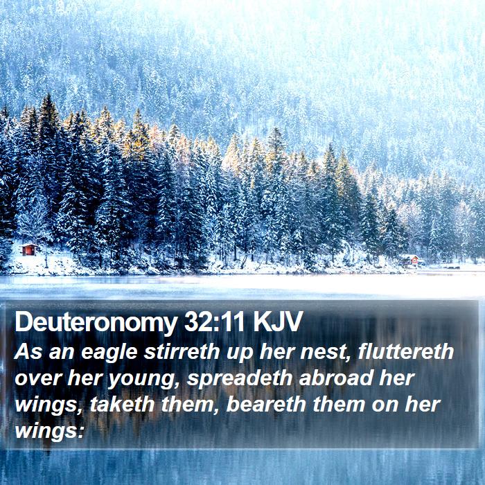 Deuteronomy 32:11 KJV Bible Study