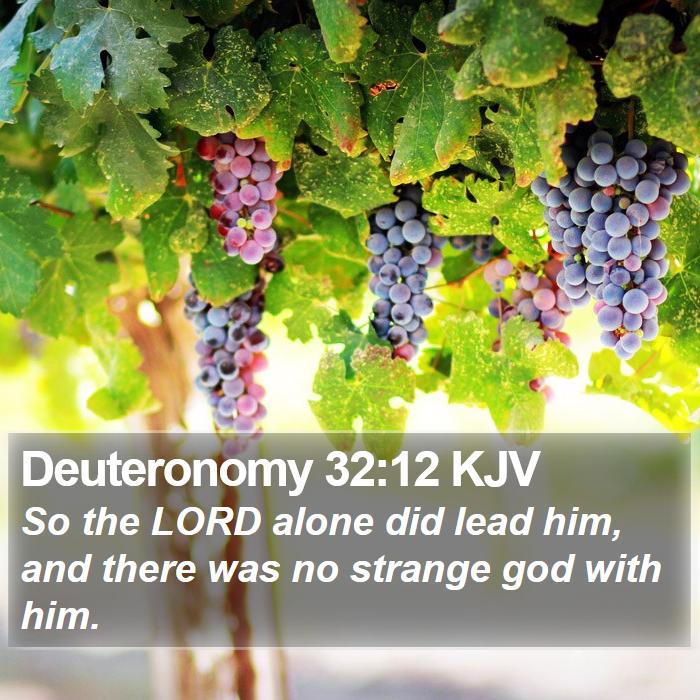 Deuteronomy 32:12 KJV Bible Study