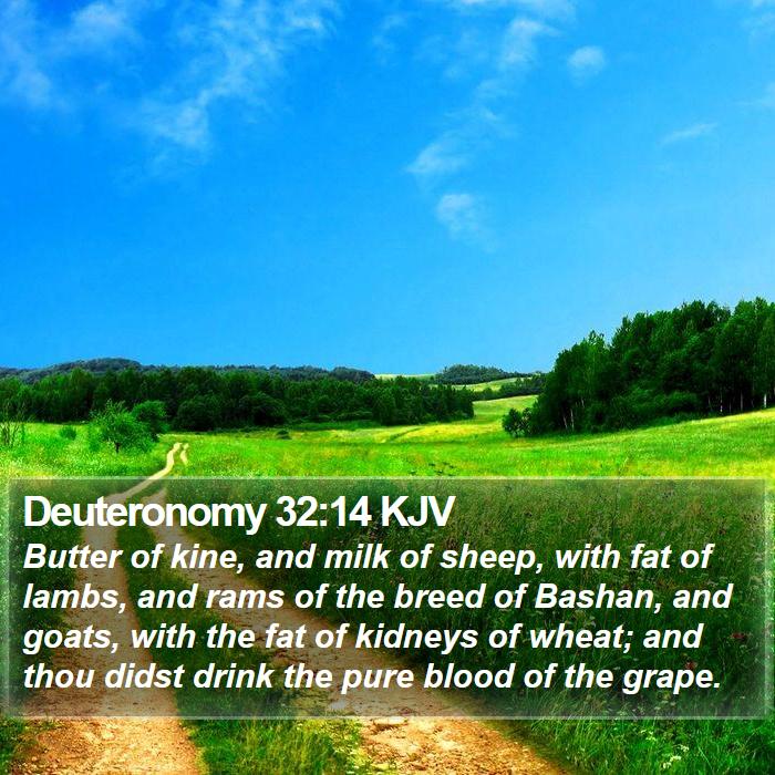 Deuteronomy 32:14 KJV Bible Study