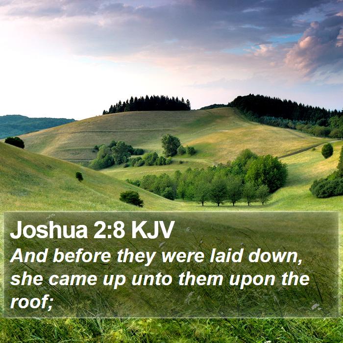 Joshua 2:8 KJV Bible Study