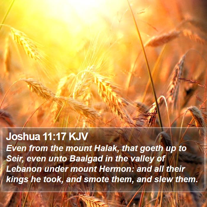 Joshua 11:17 KJV Bible Study