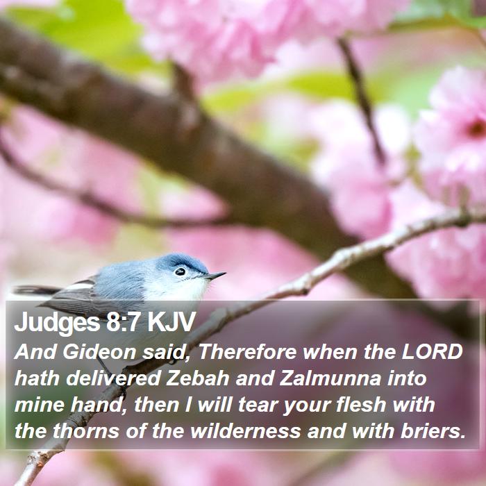 Judges 8:7 KJV Bible Study