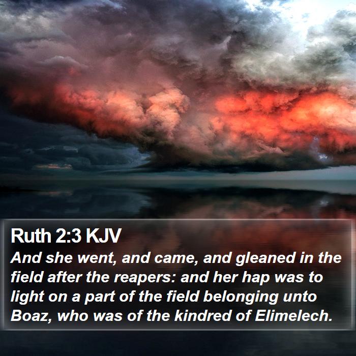 Ruth 2:3 KJV Bible Study