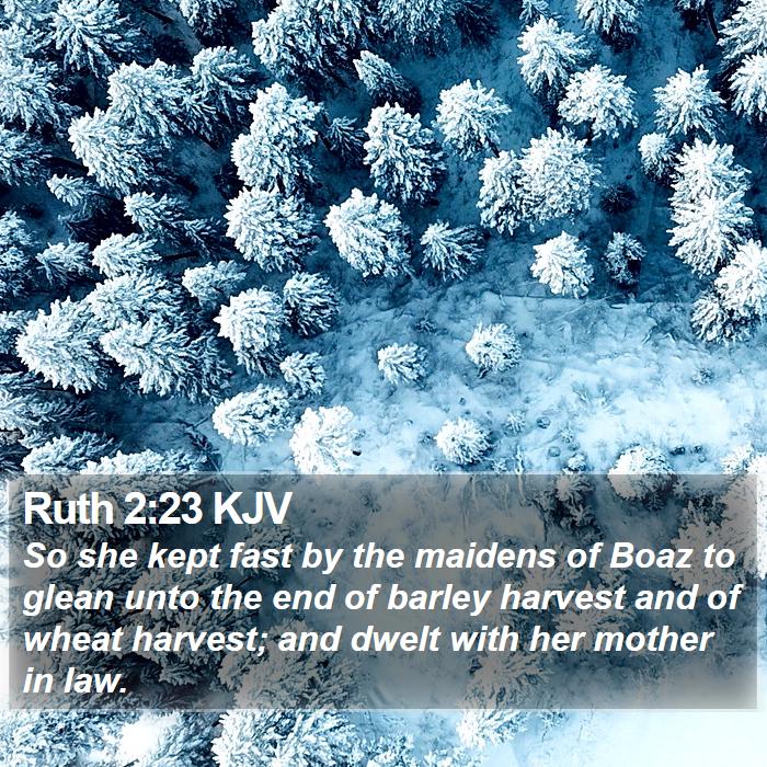 Ruth 2:23 KJV Bible Study