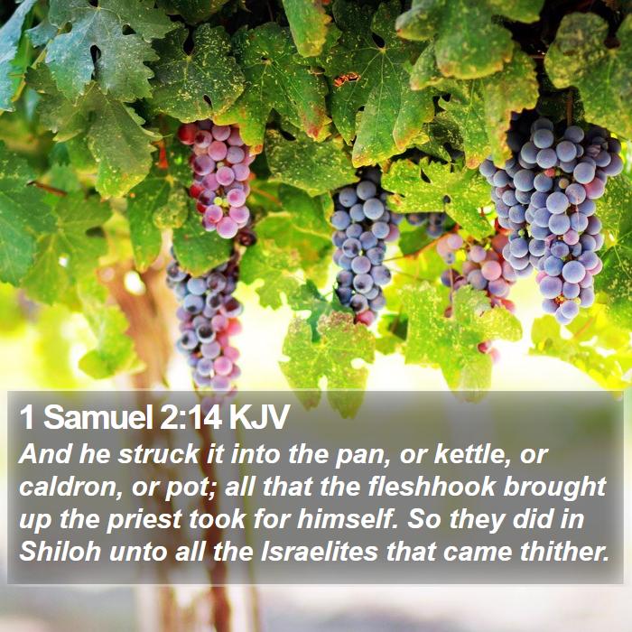 1 Samuel 2:14 KJV Bible Study