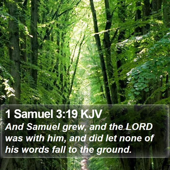 1 Samuel 3:19 KJV Bible Study