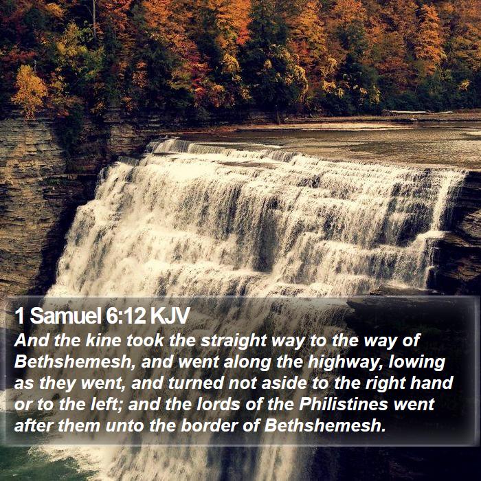 1 Samuel 6:12 KJV Bible Study