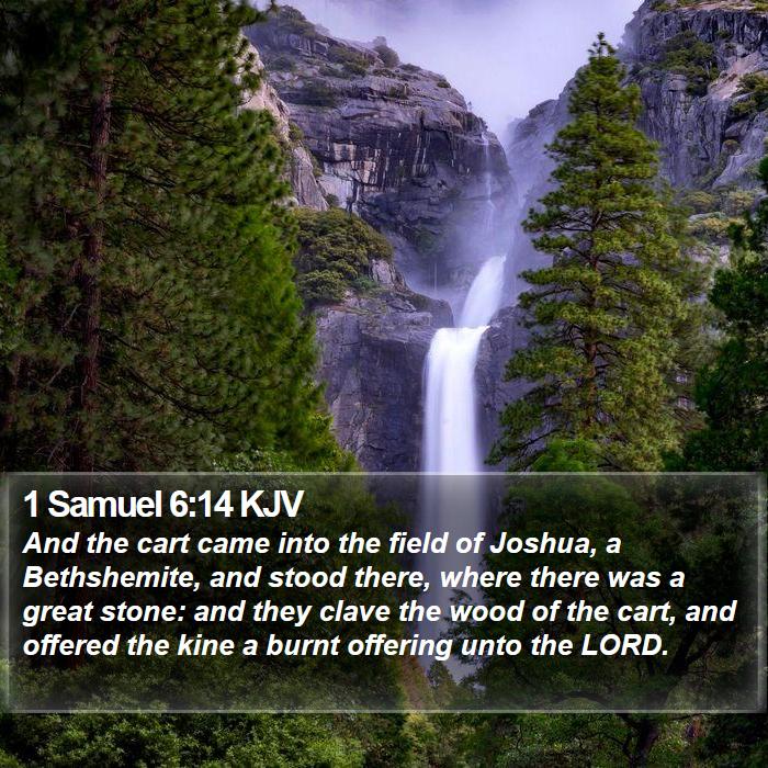 1 Samuel 6:14 KJV Bible Study