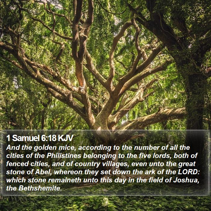 1 Samuel 6:18 KJV Bible Study