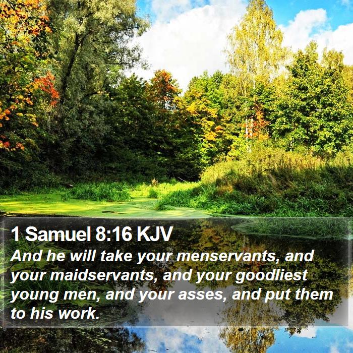 1 Samuel 8:16 KJV Bible Study