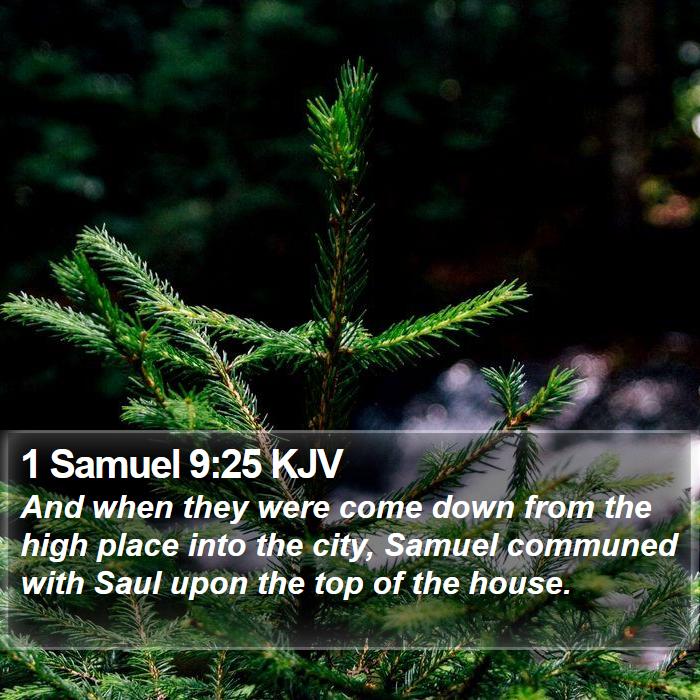 1 Samuel 9:25 KJV Bible Study