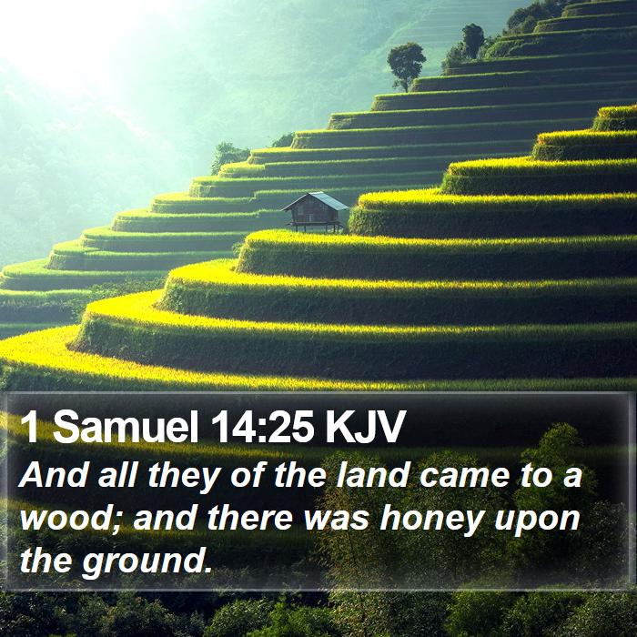 1 Samuel 14:25 KJV Bible Study