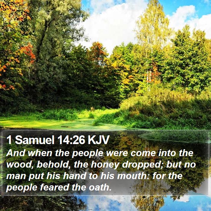 1 Samuel 14:26 KJV Bible Study