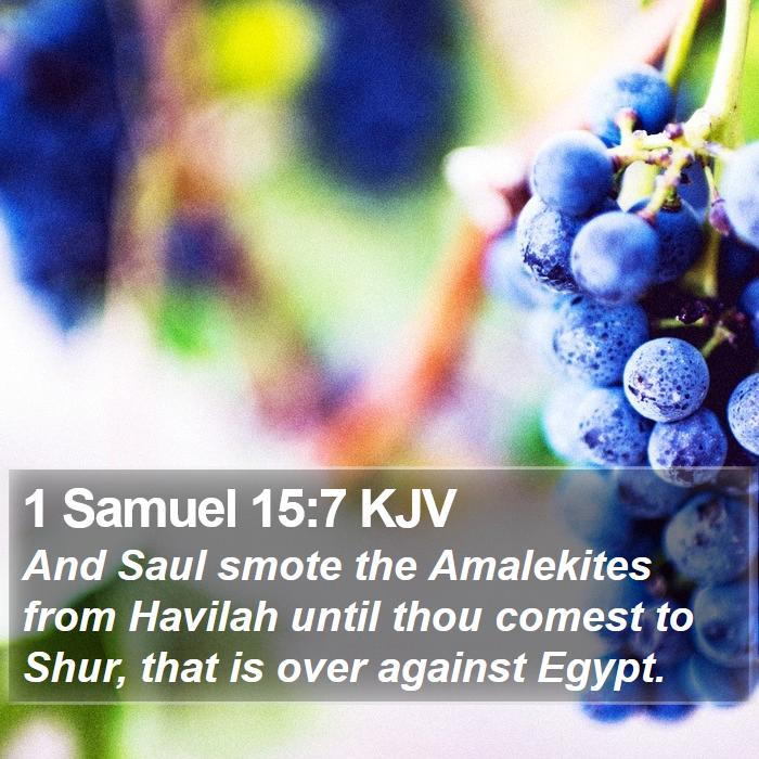 1 Samuel 15:7 KJV Bible Study