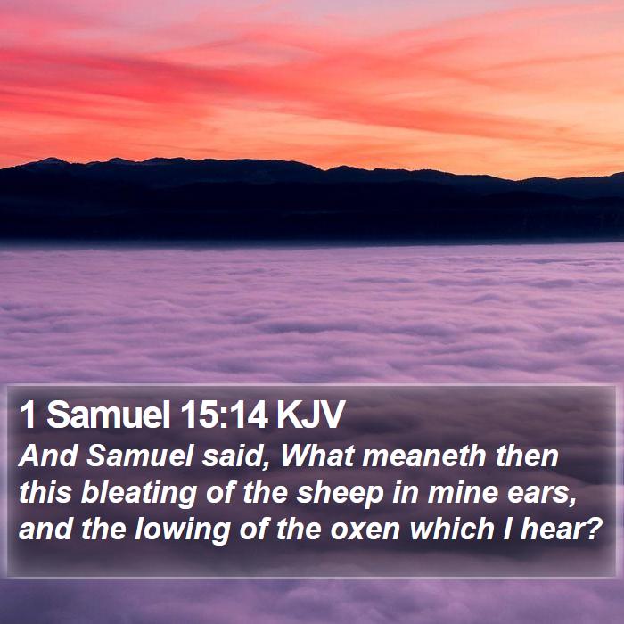 1 Samuel 15:14 KJV Bible Study