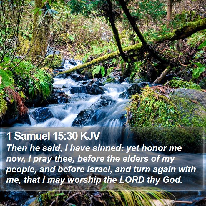 1 Samuel 15:30 KJV Bible Study