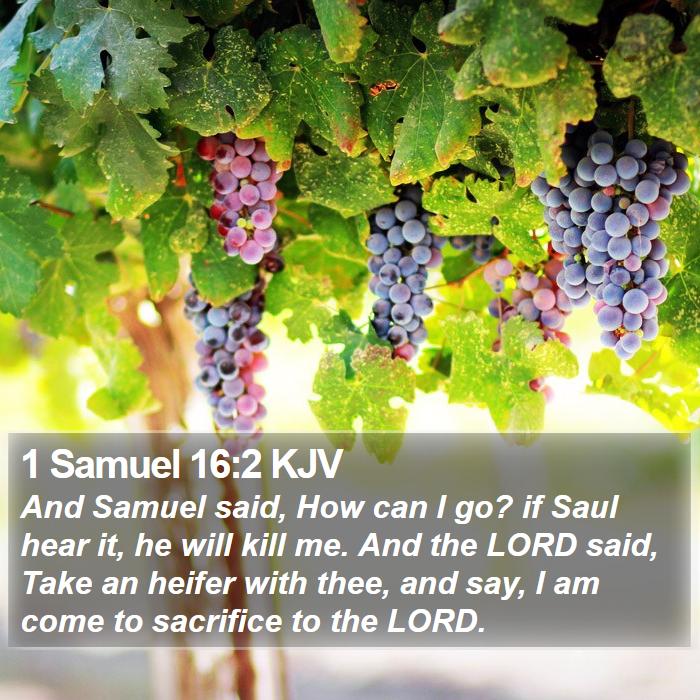 1 Samuel 16:2 KJV Bible Study