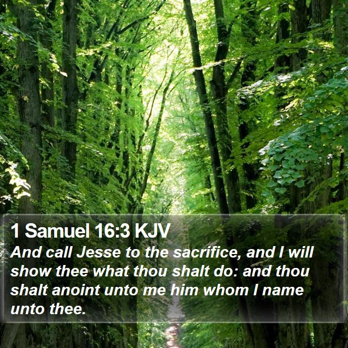 1 Samuel 16:3 KJV Bible Study