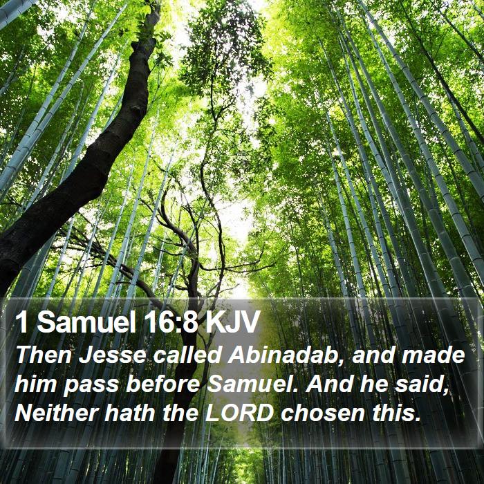 1 Samuel 16:8 KJV Bible Study