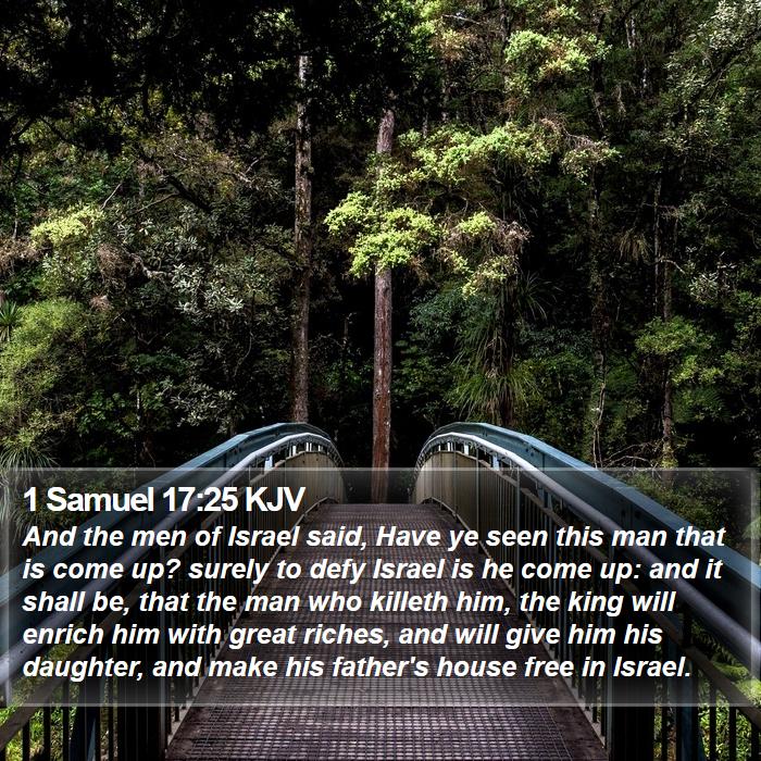 1 Samuel 17:25 KJV Bible Study