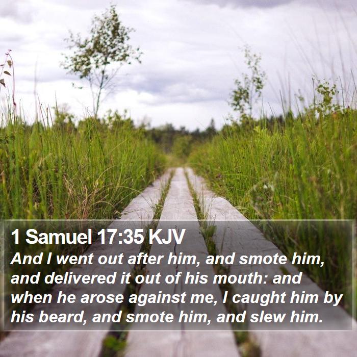 1 Samuel 17:35 KJV Bible Study