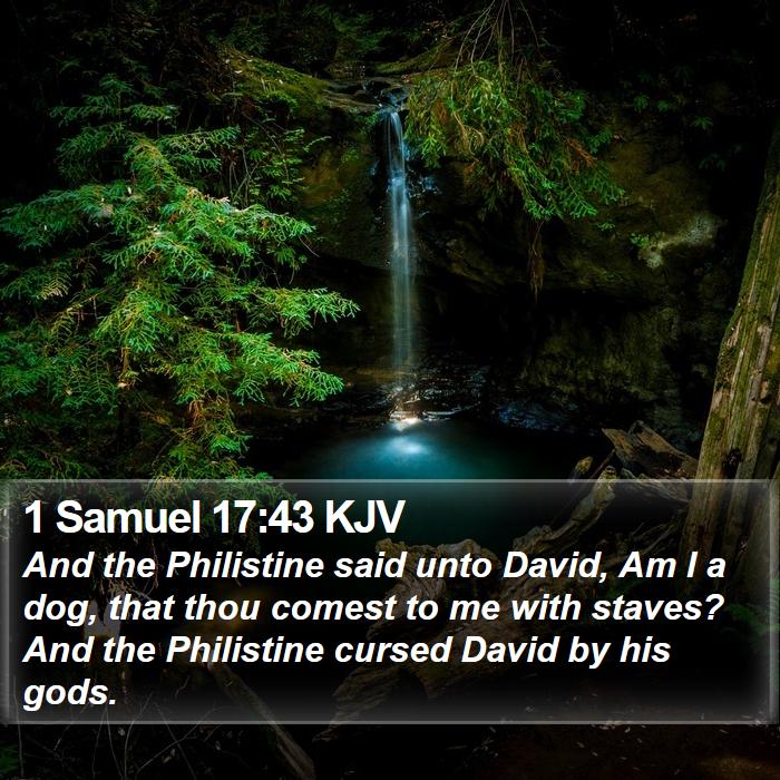 1 Samuel 17:43 KJV Bible Study