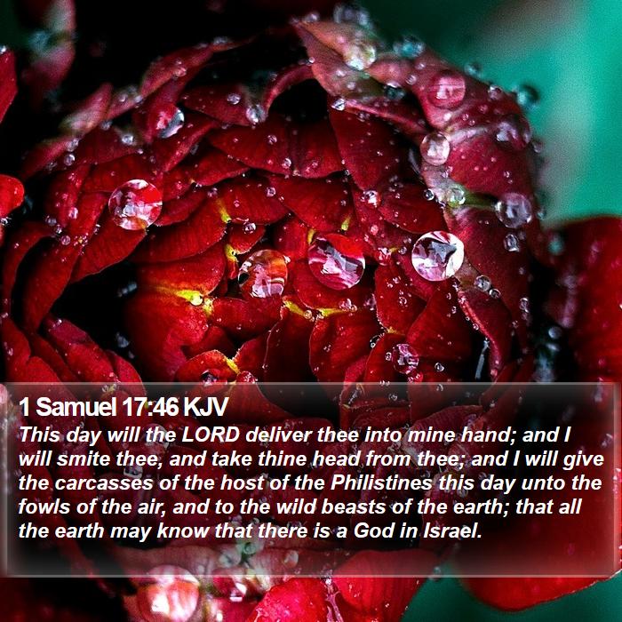 1 Samuel 17:46 KJV Bible Study