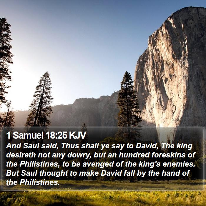 1 Samuel 18:25 KJV Bible Study