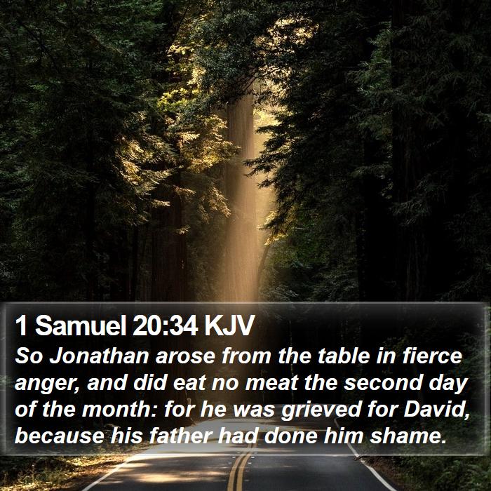 1 Samuel 20:34 KJV Bible Study