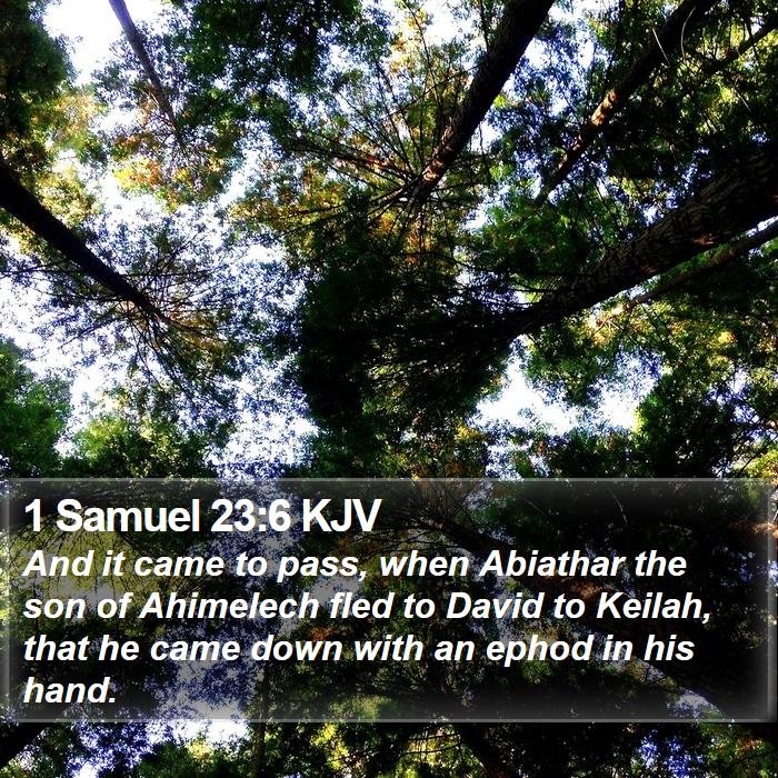 1 Samuel 23:6 KJV Bible Study