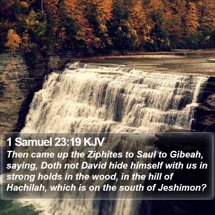 1 Samuel 23:19 KJV Bible Study