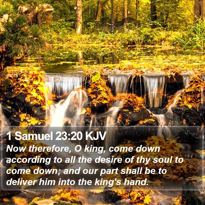 1 Samuel 23:20 KJV Bible Study