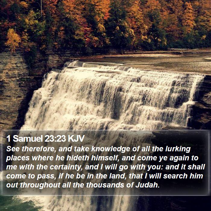 1 Samuel 23:23 KJV Bible Study