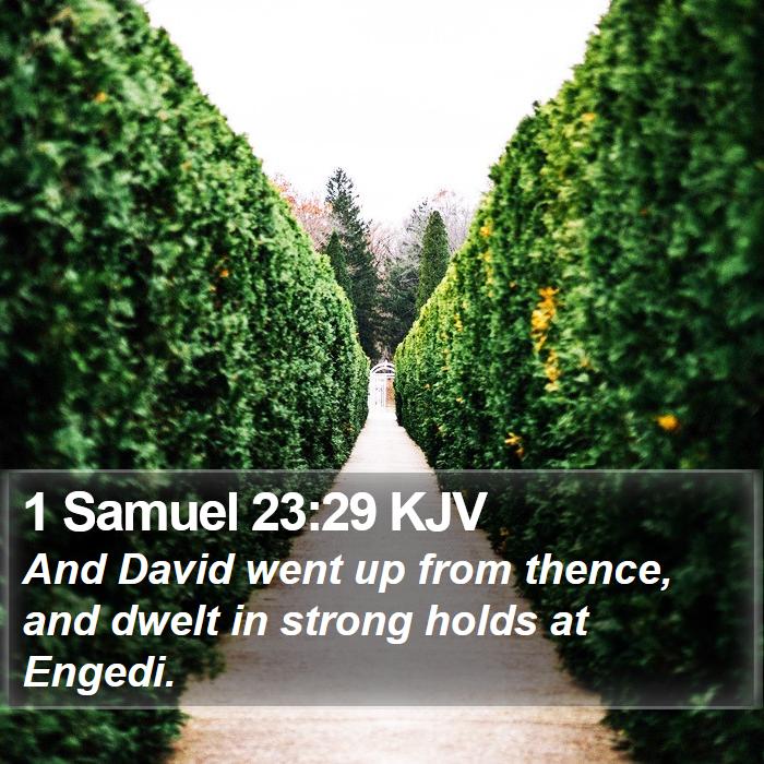 1 Samuel 23:29 KJV Bible Study