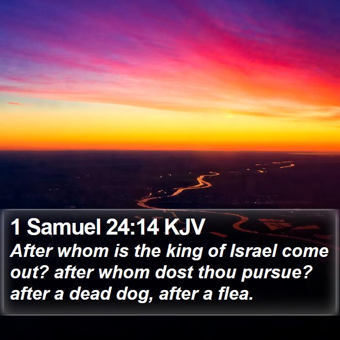 1 Samuel 24:14 KJV Bible Study