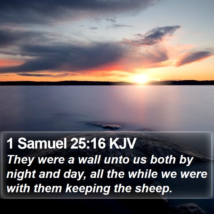 1 Samuel 25:16 KJV Bible Study