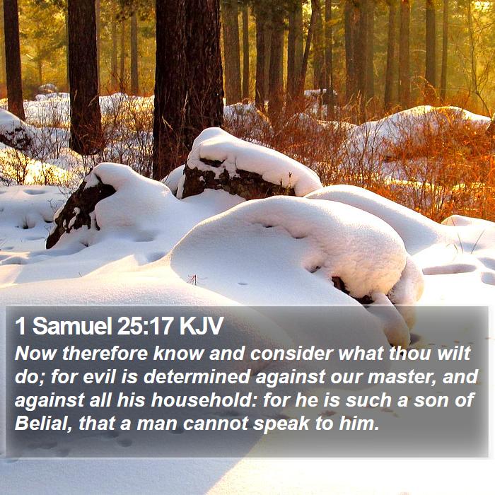 1 Samuel 25:17 KJV Bible Study