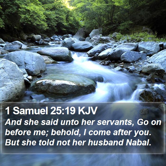 1 Samuel 25:19 KJV Bible Study